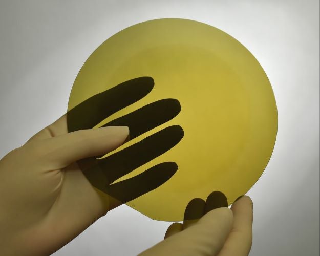 A person holding a SiC Wafer