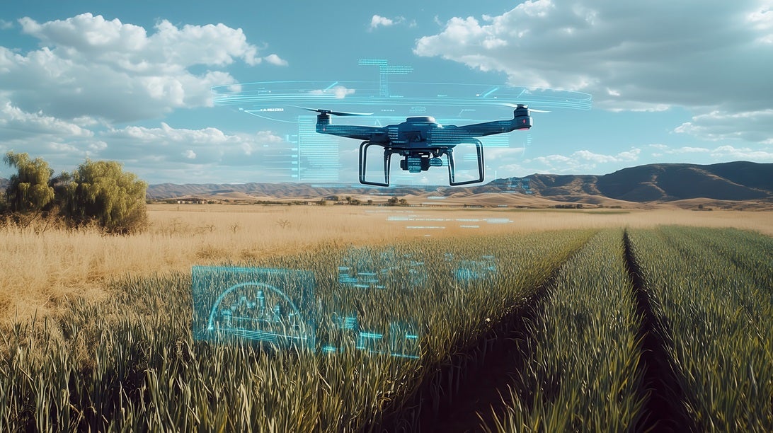 Drone with image sensors